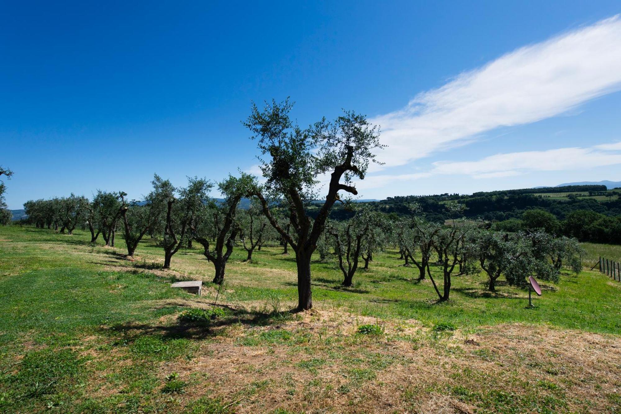 Villa Rara Factory Design House Orvieto Exterior foto
