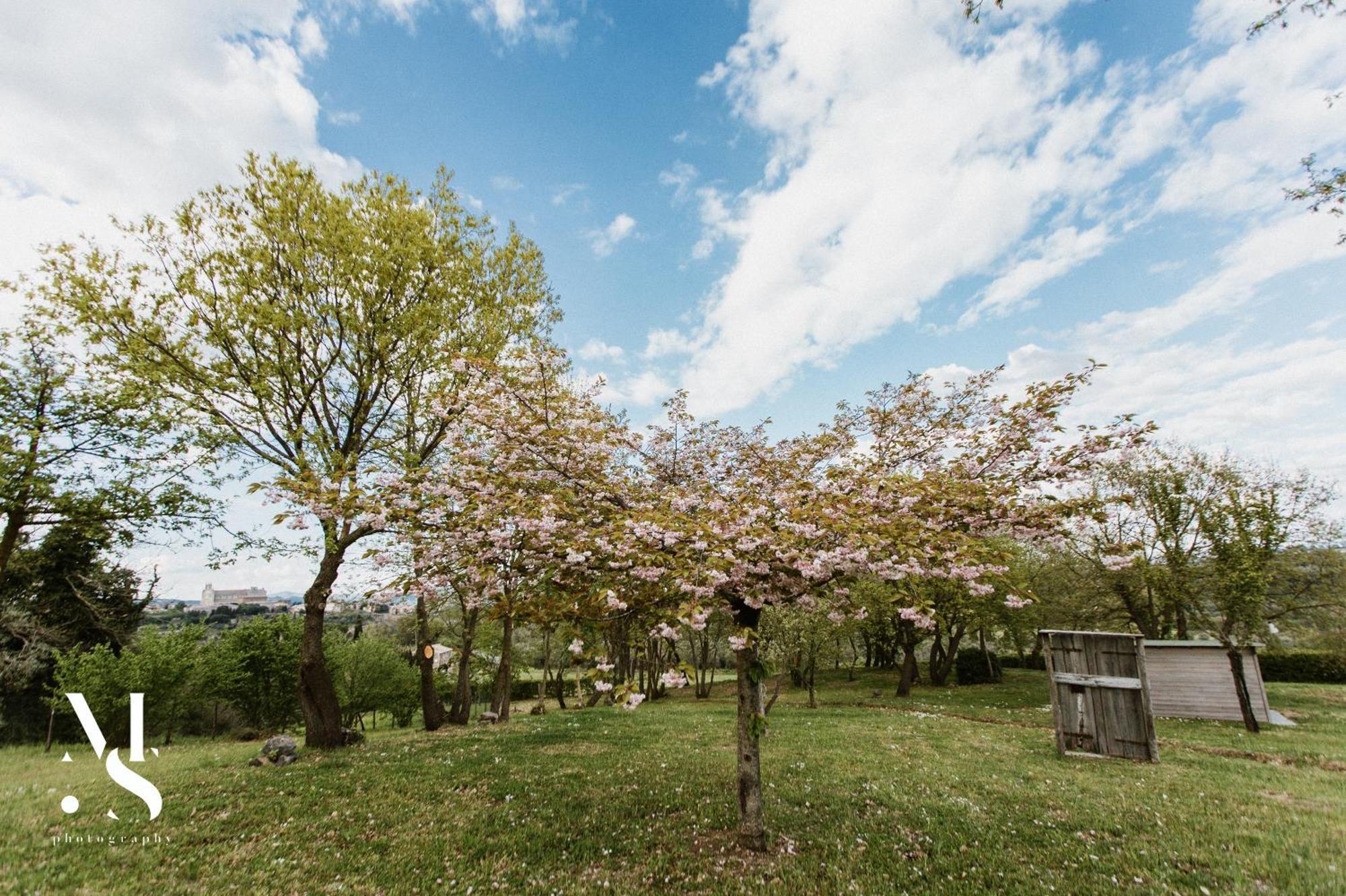 Villa Rara Factory Design House Orvieto Exterior foto